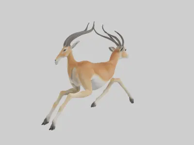 Gazelle running model 3D model