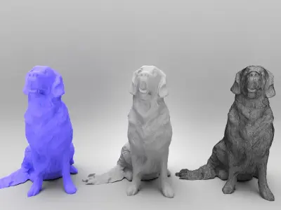 Golden retriever dog 23 Low-poly 3D model