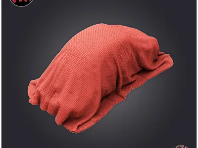 Car Cover Beetle 3D print model