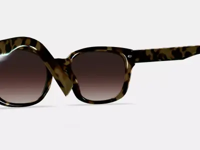 Aubrey Low Bridge Fit Sunglasses in Marzipan Tortoise 3D model