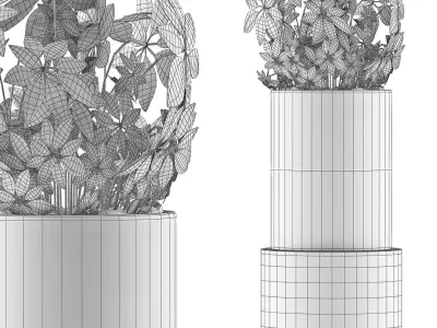 Plants Collection 110 3D model