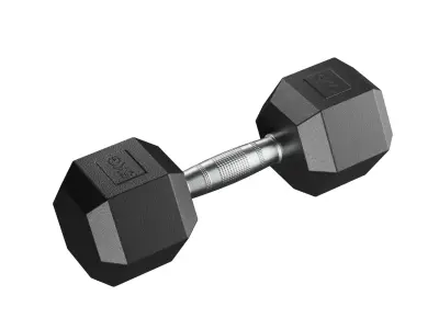 5 Kg Dumbbell 3D model