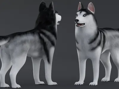 Dog Siberian Husky Low Poly Model Game AR VR Low-poly 3D model