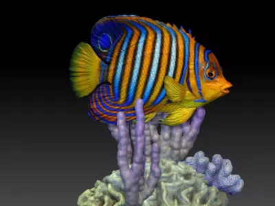 Angelfish Regal  Pygoplites diacanthus 3D print model