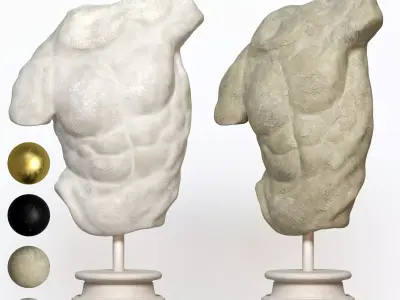 Male Torso Decor Set 25  3D model