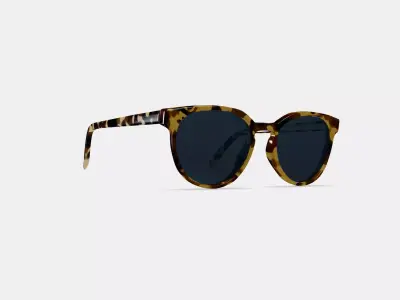 Wright Low Bridge Fit Sunglasses in Walnut Tortoise 3D model