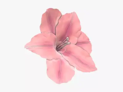 Lily flower artificial  3D model