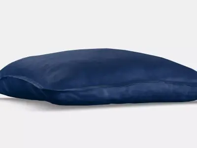 DYTAG Cushion cover Low-poly 3D model