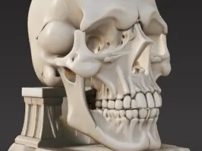 Skull-Themed Book Support Object  3D Printable Model 3D print model