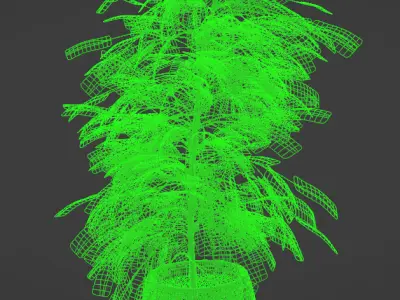 Ficus plant in a red vase with potting 3D model