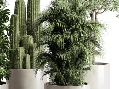 indoor plant 190 pot  cactus olive palm concrete dirt vase 3D model