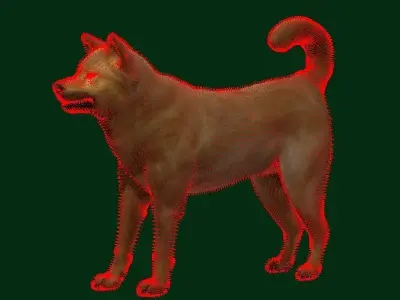 Ainu Dog Breed 3D model