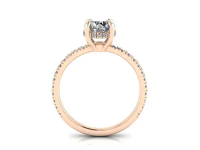 Engagment Jewelry Ring 205 3D print model
