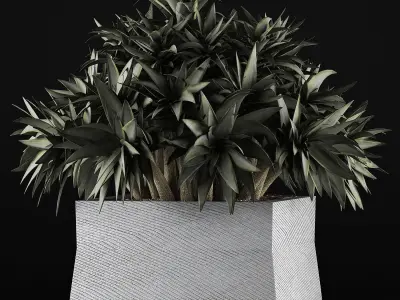 Plants Collection 51 3D model