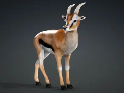Deer with Animation 10 Low-poly 3D model