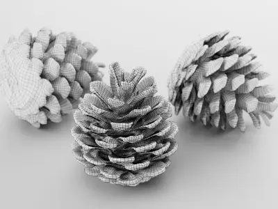 Pinecone - 3D Scan Low-poly 3D model