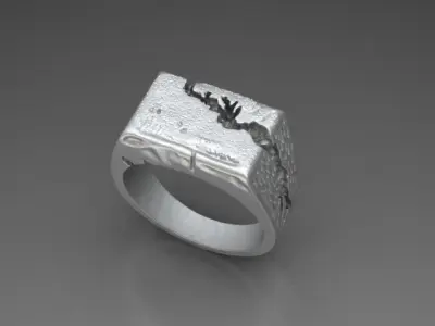 Fraction Ring 3D print model