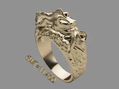 FASIN RING 3D model buy