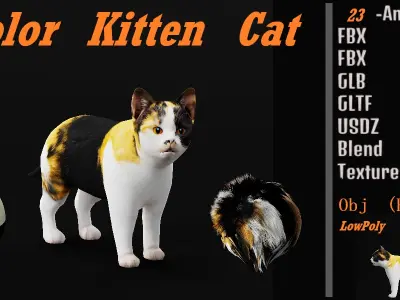 Calico Kitten Cat Low-poly 3D model