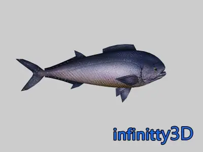 Coral Fish Pack 1 Low-poly 3D model