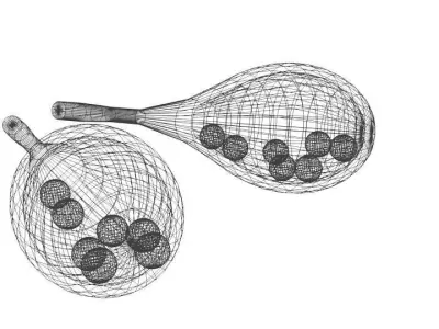 Musical Instrument Marakas 3D model