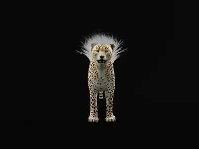 Young Cheetah Animal 3D model