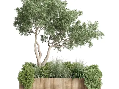 Box Plants on Stand  of houseplants indoor 192 3D model