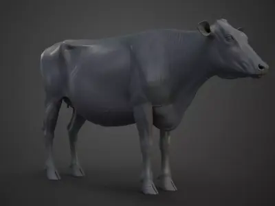 Holstein Female Model Low-poly 3D model