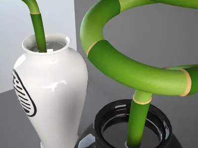 Lucky Bamboo 3D model
