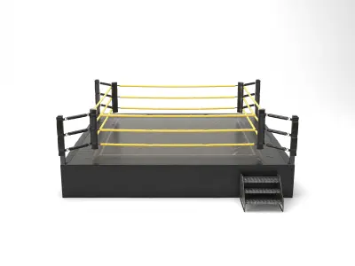 Wrestling Ring REGULATION SIZE 3D model