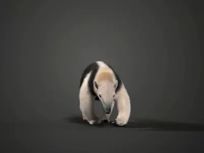 Baby Anteaters Animated VFX Grace 3D model
