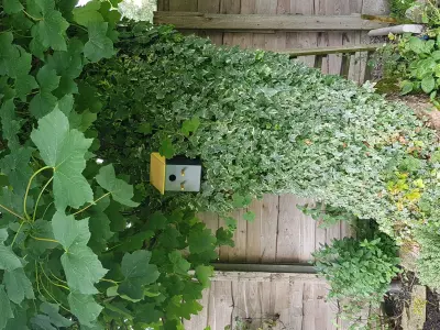 Eco Friendly Bird Box For Gardens Balconies Walls By CC3D 3D print model