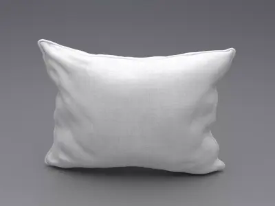 Piped Pillow 2 3D model