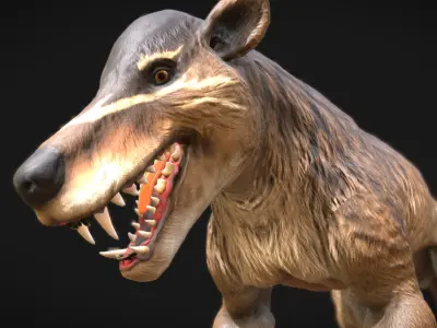 Hyaenodon gigas  Apex Predator of the Eocene Low-poly 3D model