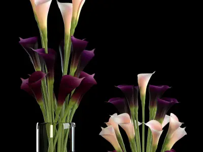 callalilly purple set 3D model