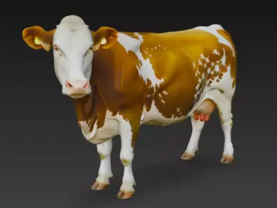 Guernsey Cow 3d Model Low-poly 3D model