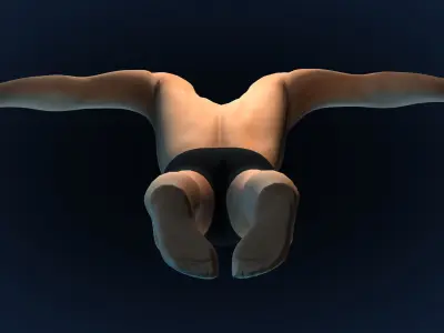 Swimming Man Rigger - Butterfly Low-poly 3D model