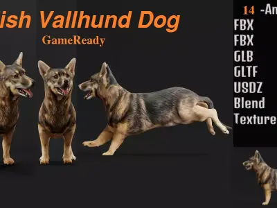 Swedish Vallhund Dog Low-poly 3D model