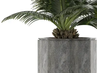 House Plant 28 3D model