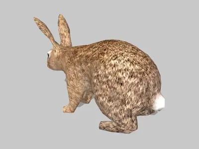 rabbit bunny Low-poly 3D model