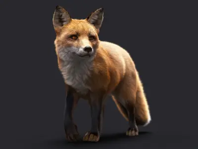 FOX RIG XGEN CORE 3D model