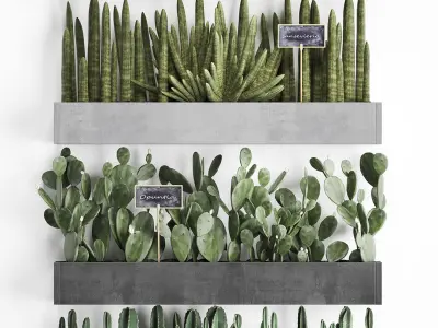 Cactus set wall decor vertical garden 43 3D model