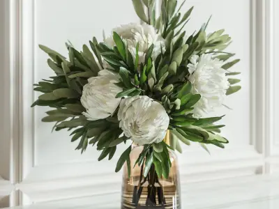 Flower Set 008 Peony and Baby breath 3D model