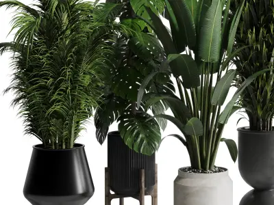 indoor plant set 345 ravenala bamboo monstera palm concrete vase Low-poly 3D model