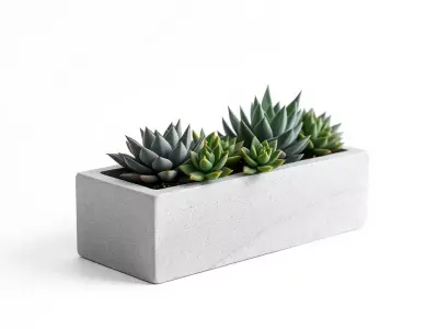 Modern Succulent Planter Box Model Pack Low-poly 3D model