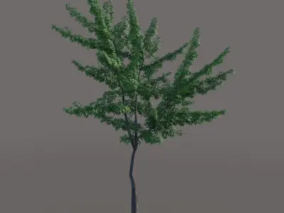 Small tree 3D model