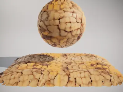 HQ PBR Textures Set  Nut Shell Bumpy Texture