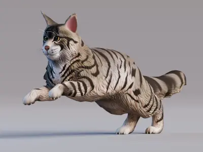 Low poly - Stylized cats - Maine Coon Cat Low-poly 3D model