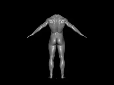 Human body 3D model