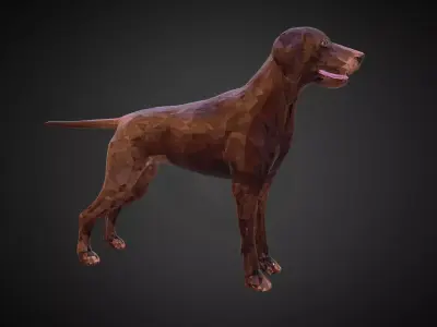 Dog Kurtshaar Brown Low Polygon Art Animal Low-poly 3D model